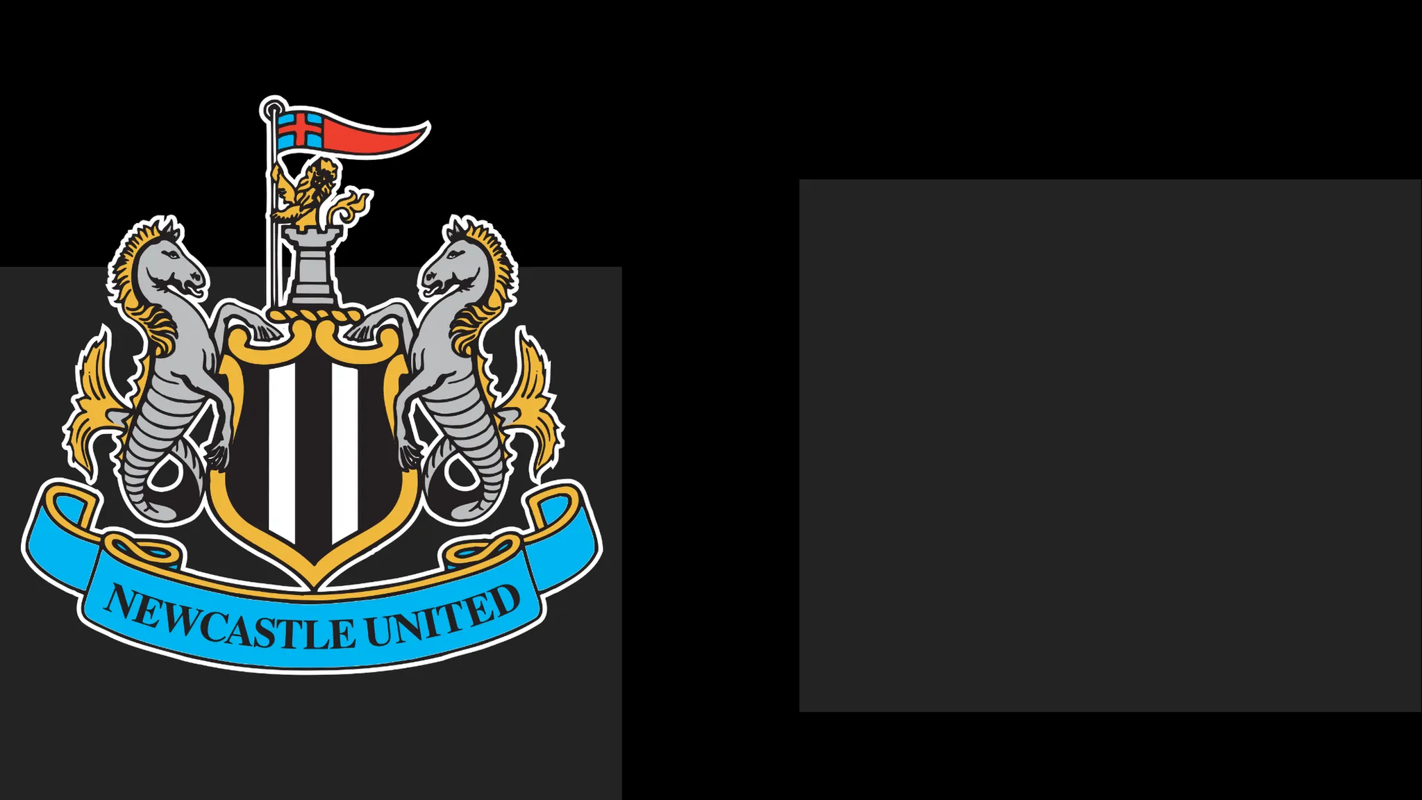 NUFC Extend Formal Apology to Fans Following Matchday Issue